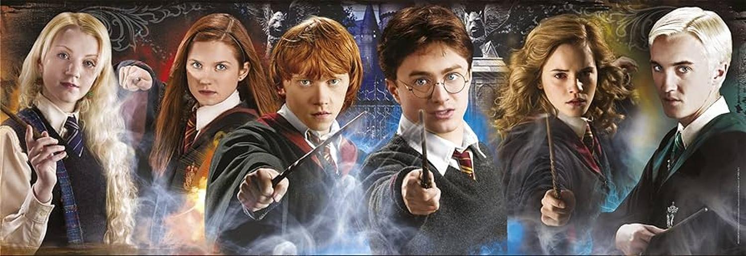 Rompecabezas Panorama Harry Potter Jóvenes Magos 1000 Piezas