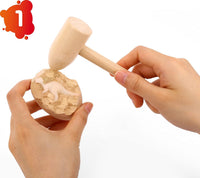 Kit de excavación de huevos Dino – 6 dinosaurios para excavar y pintar; juguetes STEM para niños de 5 años + - 5