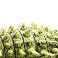 Anquilosaurio Mediano, Juguete De Dinosaurio - 5