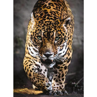 Rompecabezas Jaguar 1000 Pz Clementoni - 2