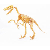 Dinohueso Velociraptor, juguete armable de dinosaurio - 4