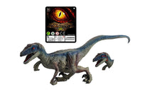 Figura De Dinosaurio Velociraptor Blue Jurassic 40 cm - 2