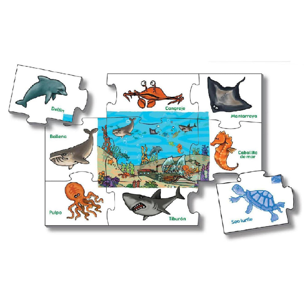 R.C. Animales Del Mar (Español-Ingles)
