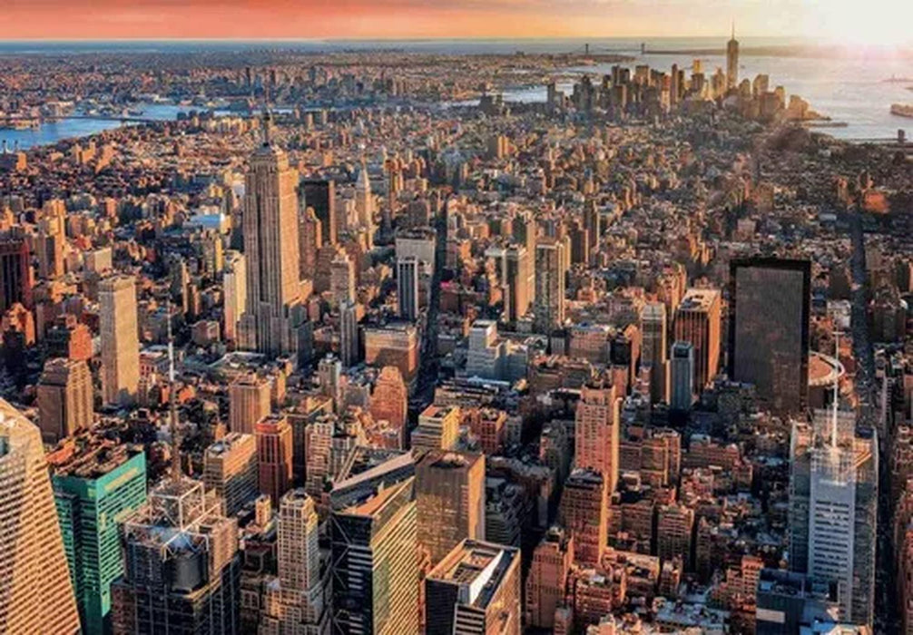 Rompecabezas Vista De Nueva York (Compact Pro-Ecología) 1000 Piezas