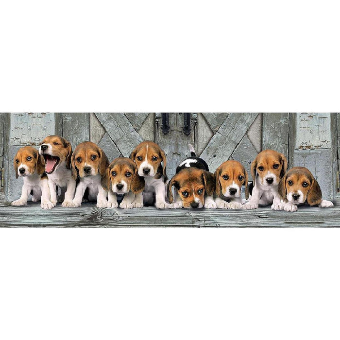 Rompecabezas Cachorros Beagles Panoramico 1000 Piezas Clementoni