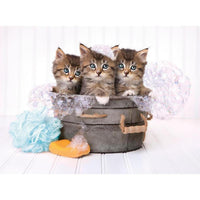 Rompecabezas Gatitos Y Jabon 500 Piezas Clementoni - 2