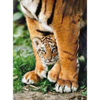 Rompecabezas Tigre De Bengala 500 Piezas Clementoni - 2