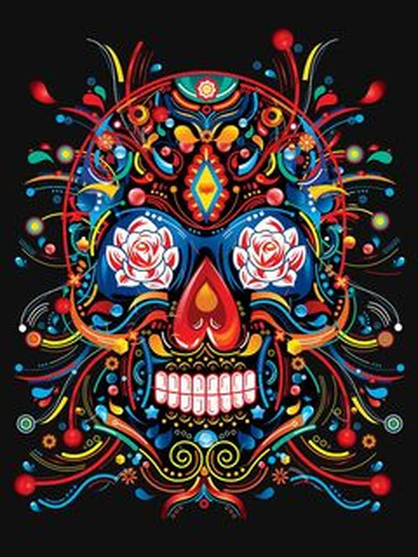 Kit Pinta Por Numero Calavera DIY Arte