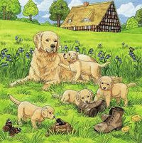 Gatitos Y Perritos Rompecabezas De Ravensburger - 2