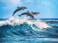 Rompecabezas Delfines 500 Pz Clementoni - 2