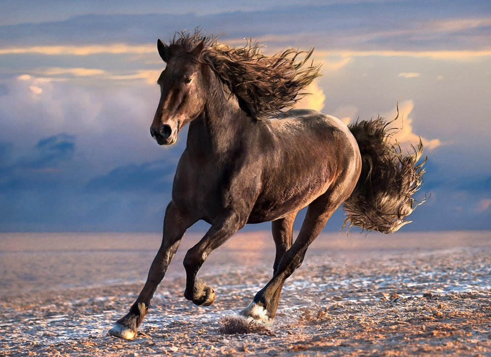 Rompecabezas Caballo Libre 1000 Piezas