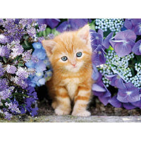 Rompecabezas Gatito 500 Piezas Clementoni - 2