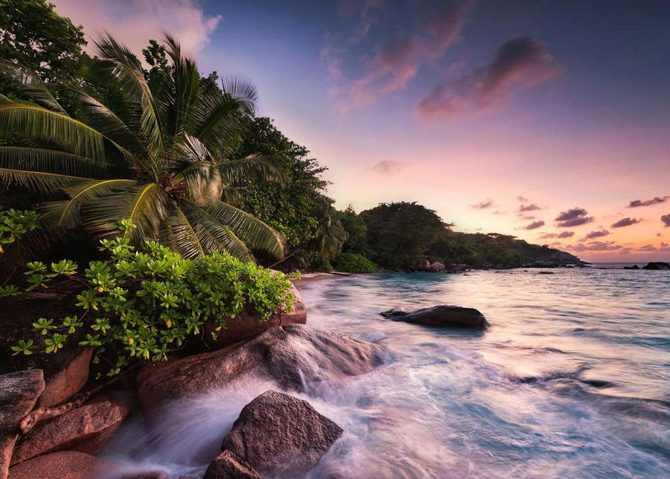 Rompecabezas Isla de Prasilin En Seychelles 1000 Piezas