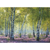 Rompecabezas Bosque De Abedules 1000 Piezas - 2