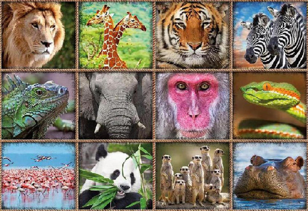 COLLAGE DE ANIMALES SALVAJES