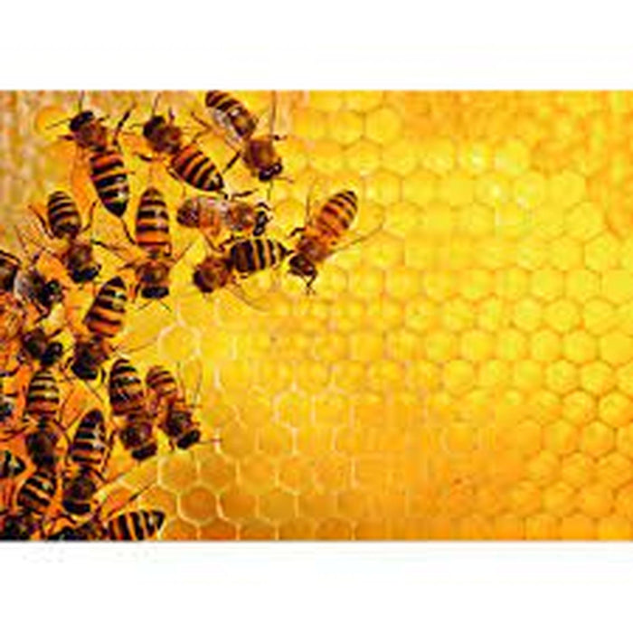 Rompecabezas Challenge Abejas 1000 Piezas Ravensburger