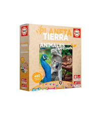 PLANETA TIERRA ANIMALES CAMPEONES - 1
