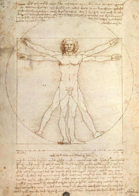 Rompecabezas Da Vinci: El Hombre 1000 Piezas Ravensburger - 2