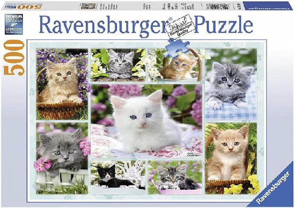 Rompecabezas Gatos Y Mas Gatos 500 Piezas Ravensburger