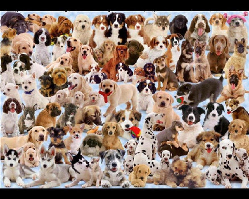 Rompecabezas Perros De Todo El Mundo 1000 Piezas Ravensburger