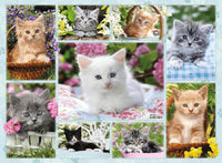 Rompecabezas Gatos Y Mas Gatos 500 Piezas Ravensburger - 2