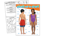 Partes Del Cuerpo - 1