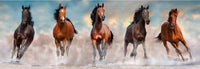 Rompecabezas Panorama Caballos Clementoni - 2
