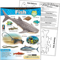 Explorando Los Peces - 1