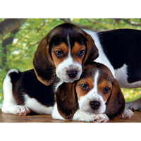 Rompecabezas Beagles Juntos 500 Pzs Clementoni - 2