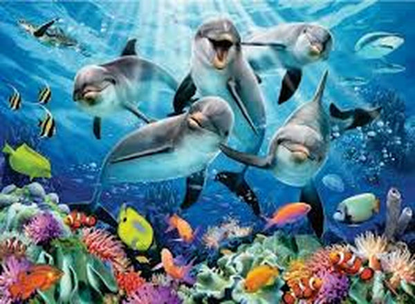 Delfines Arrecife De Colores Rompecabezas De 500 Piezas Ravensburger