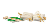 Kit Excavación 5 en 1 Dinosaurios Fósiles Arqueología - 2