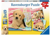 Cachorros Rompecabezas De 100 Piezas Ravensburger - 1