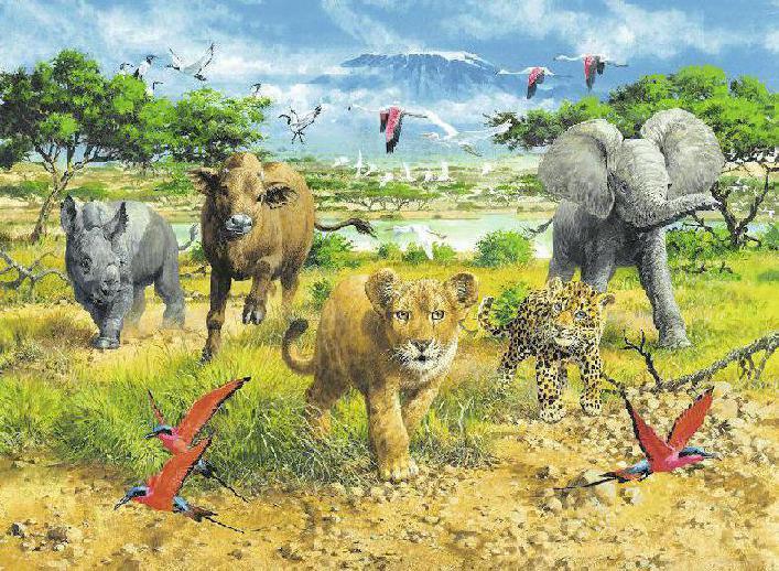 Pequeños Animales Africanos Rompecabezas De 300 Piezas Ravensburger