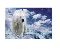 Rompecabezas Oso Polar 1000 Pzs 1000 Piezas - 2