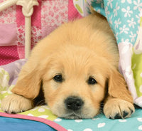 Cachorros Rompecabezas De 100 Piezas Ravensburger - 3